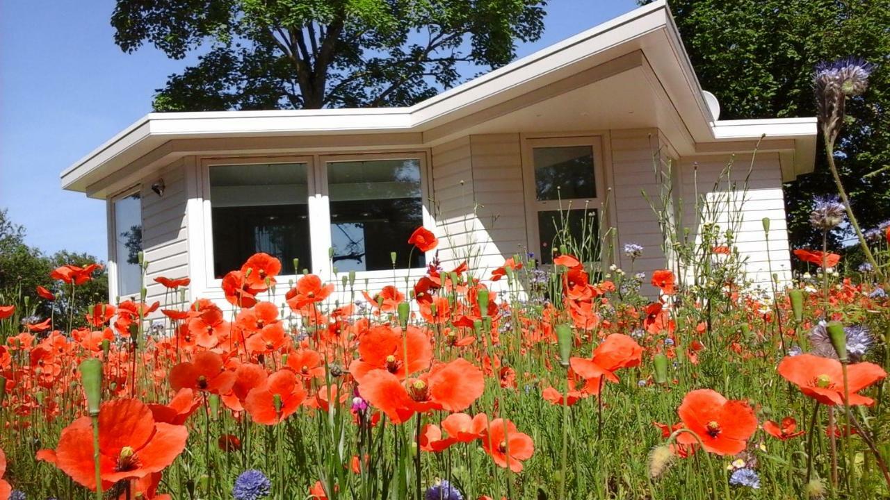 Villa Het Findament Tiny House à Hilversum Extérieur photo